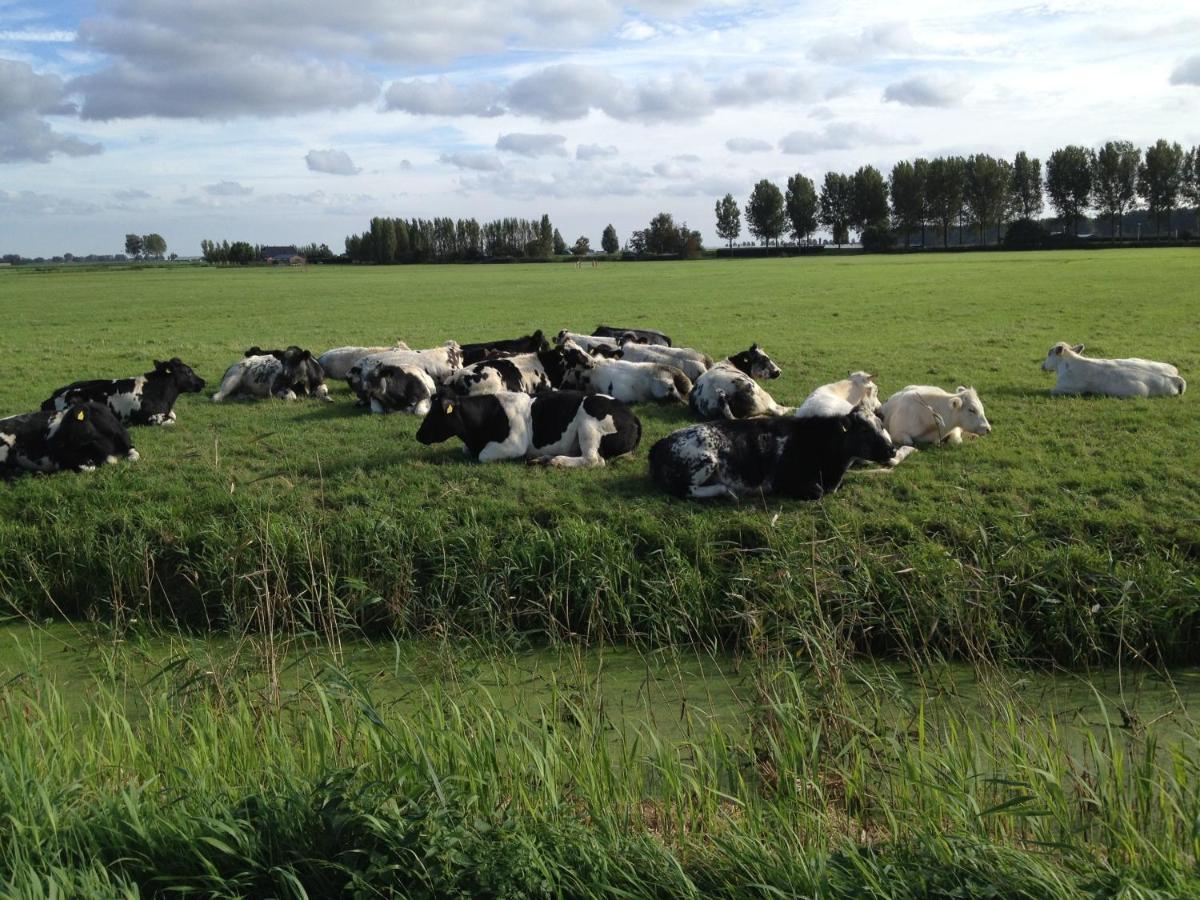 Benb Voorneputten Simonshaven Экстерьер фото